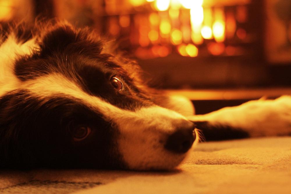 Warm and the role of the fireplace in the home Antique