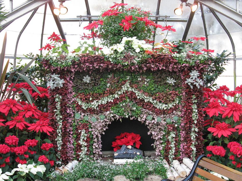 Floral fireplace in Centennial Park Conservatory