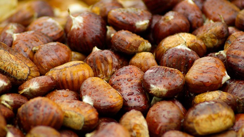 A pile of chestnuts