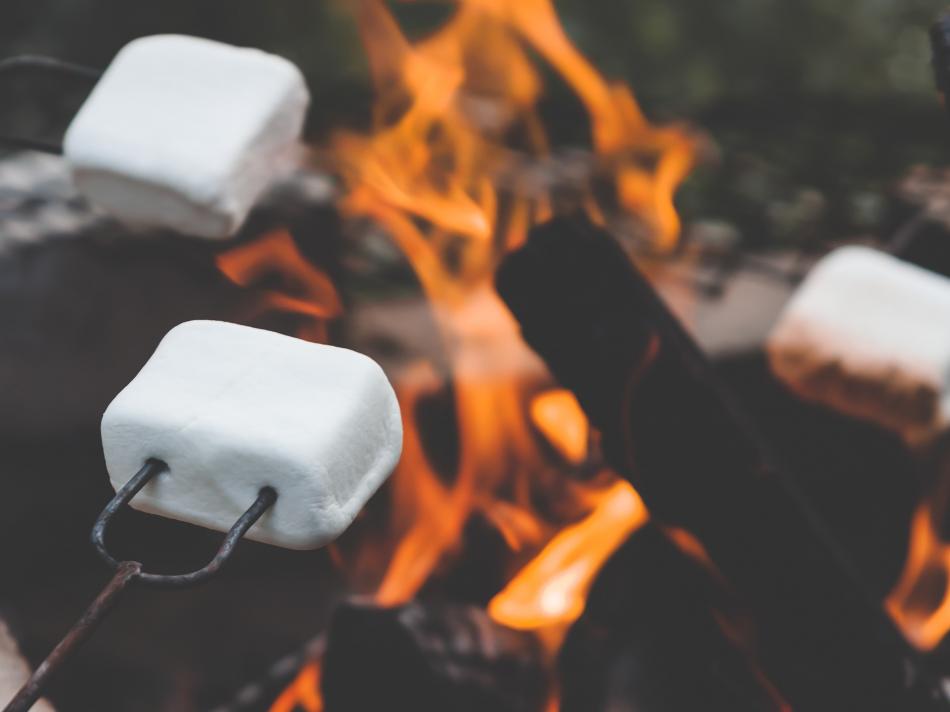 Marshmallows on toasting forks, above the flames.