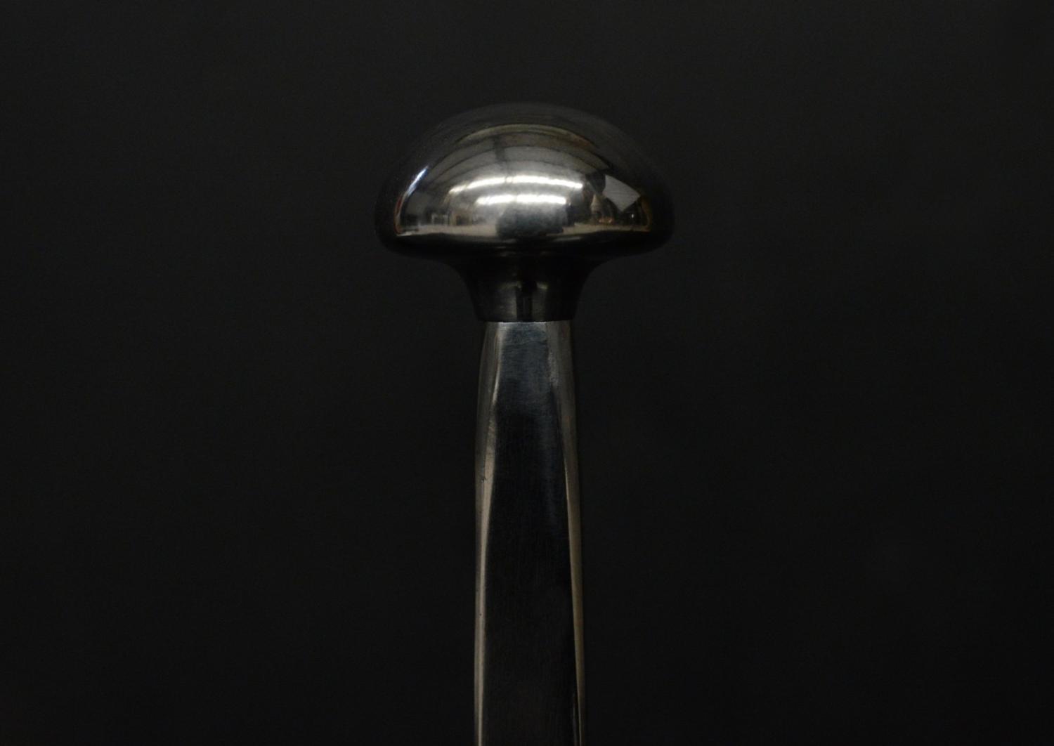 A pair of elegant firedogs in polished steel